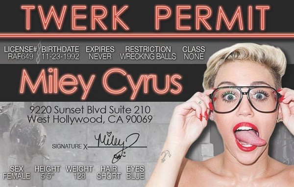 signs 4 fun Miley Twerk ID