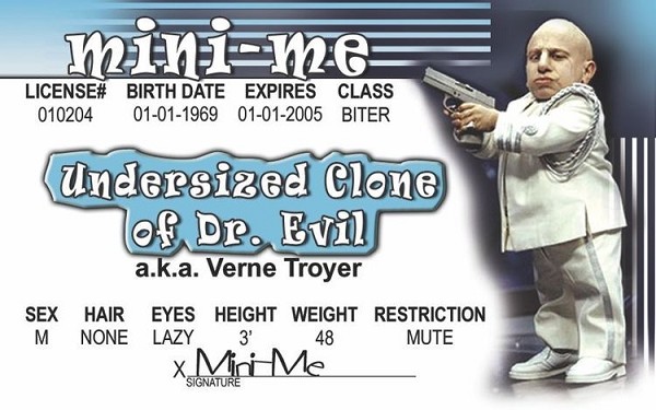 signs 4 fun Mini Me ID