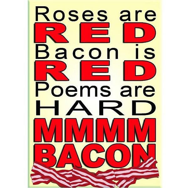signs 4 fun MMM Bacon Magnet