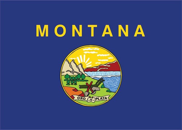 signs 4 fun Montana State Magnet