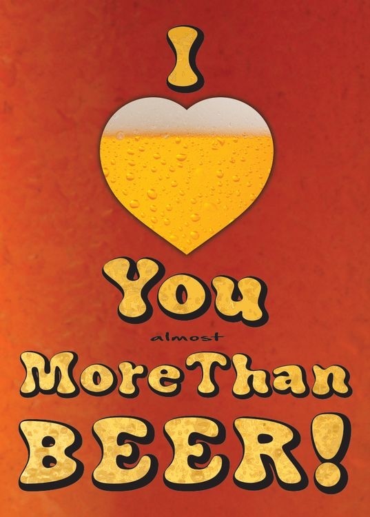 signs 4 fun More Than Beer (Almost) Magnet