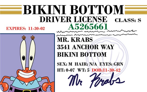signs 4 fun Mr Krabs Boat Driver License ID