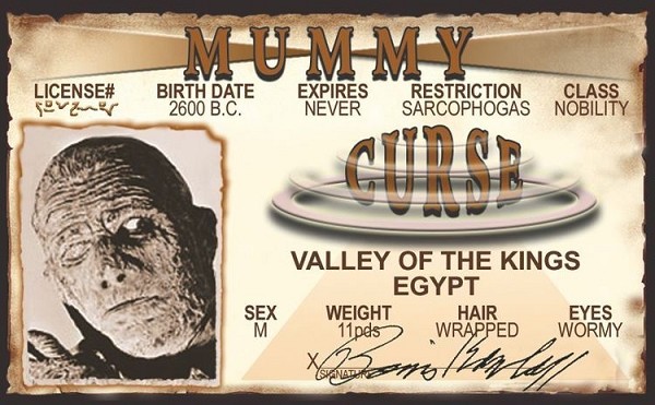 signs 4 fun Mummy ID