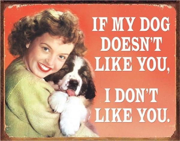 signs 4 fun My Dogs Likes Metal Tin Sign