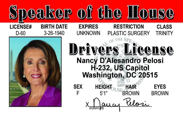 signs 4 fun Nancy Pelosi ID
