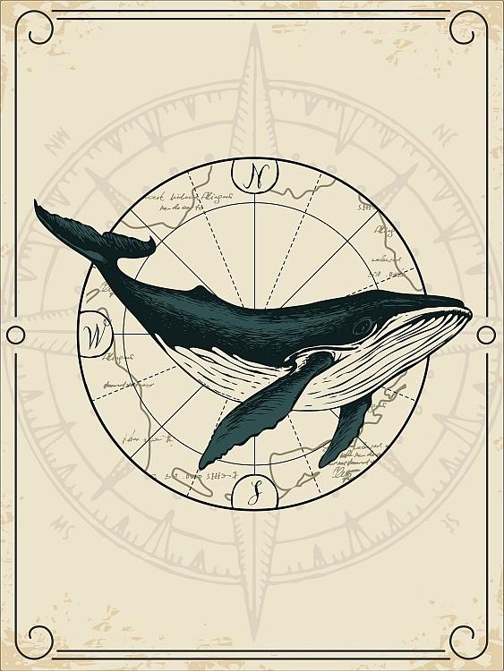 signs 4 fun Nautical Whale Magnet
