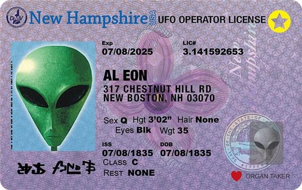 signs 4 fun New Hampshire Alien ID