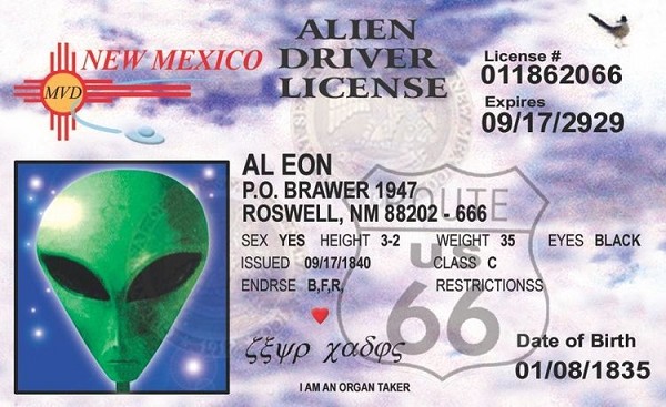 signs 4 fun New Mexico 66 Alien ID