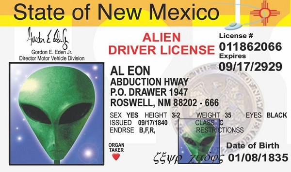 signs 4 fun New Mexico Alien ID