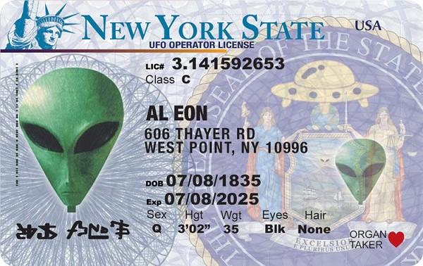 signs 4 fun New York Alien ID