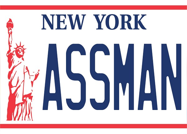 signs 4 fun New York LP Assman Magnet