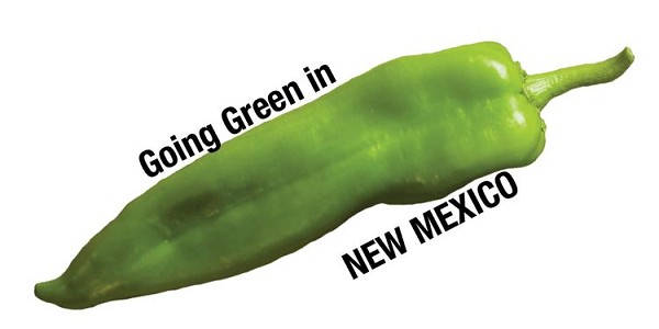 signs 4 fun NM Going Green Sticker