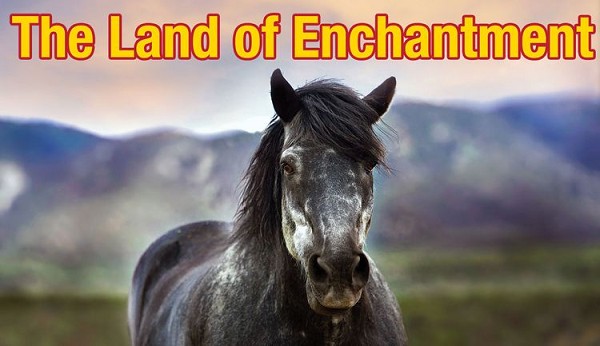 signs 4 fun NM Land of Enchantment Sticker