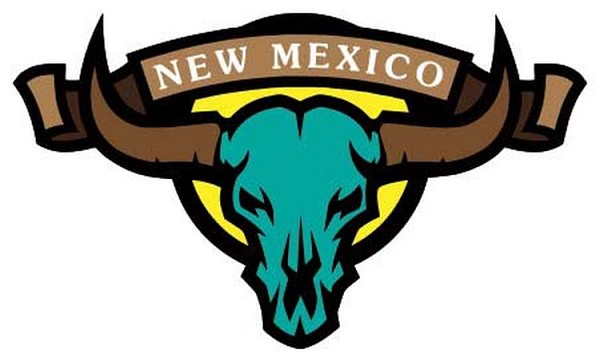 signs 4 fun NM Skull Turquoise Sm Sticker