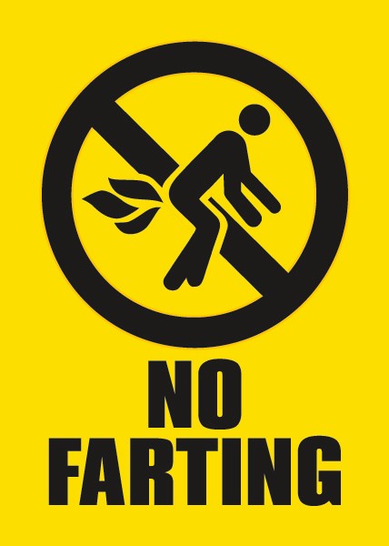 signs 4 fun No Farting Magnet
