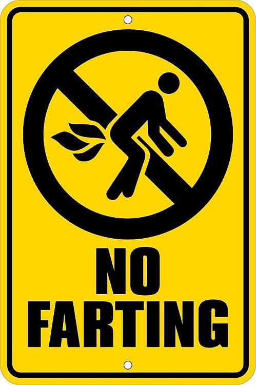 signs 4 fun No Farting Sm. Parking Sign