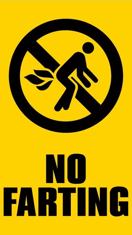 signs 4 fun No Farting Sticker
