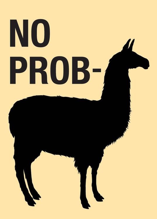 signs 4 fun No Prob-Llama Magnet