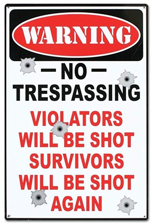 signs 4 fun No Trespassing Metal Sign