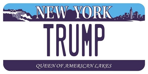 signs 4 fun NY Trump Plate Large Sticker