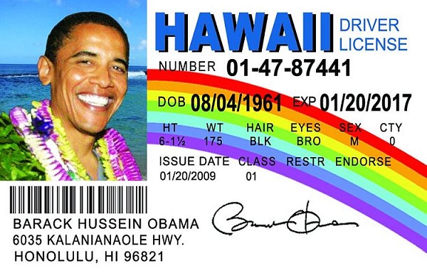 signs 4 fun Obama Hawai Magnet