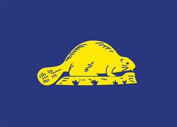 signs 4 fun Oregon Flag Reversed Magnet