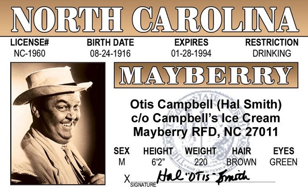 signs 4 fun Otis ID Magnet