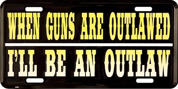 signs 4 fun Outlaw License Plate