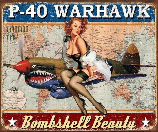 signs 4 fun P-40 Warhawk Metal Tin Sign