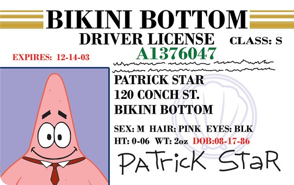 signs 4 fun Patrick Boat Driver License ID