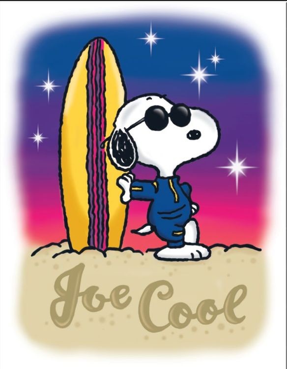 signs 4 fun Peanuts Snoopy Joe Cool Metal Sign