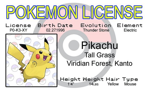 signs 4 fun Pikachu ID