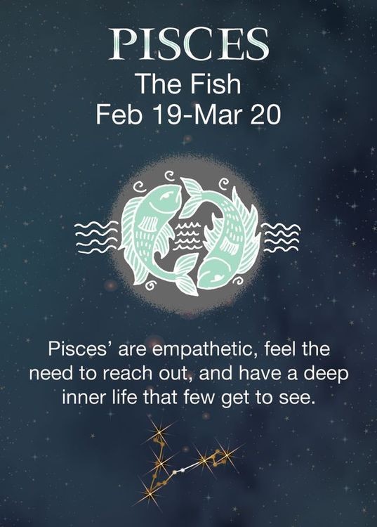 signs 4 fun Pisces Zodiac Magnet