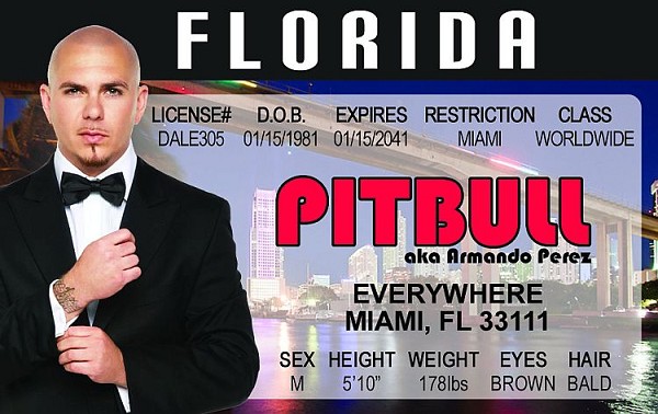 signs 4 fun Pitbull ID