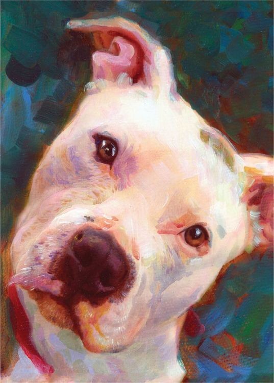 signs 4 fun Pitt Bull Puppy Magnet