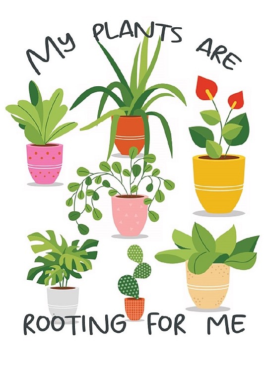 signs 4 fun Plants are rooting Magnet