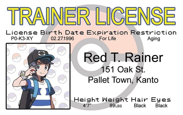 signs 4 fun Poke Trainer Boy ID