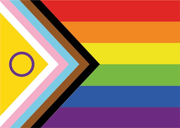 signs 4 fun Progress Pride Flag
