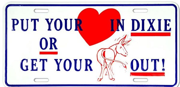 signs 4 fun Put Ur Heart In Dixie License Plate