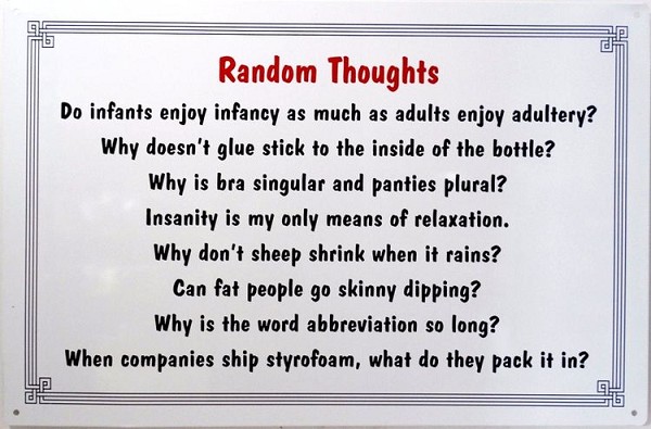 signs 4 fun Random Thoughts Metal Sign
