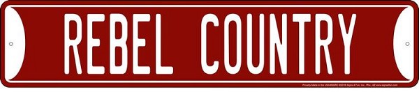 signs 4 fun Rebel Country Street Sign