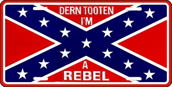 signs 4 fun Rebel Darn Tooten License Plate