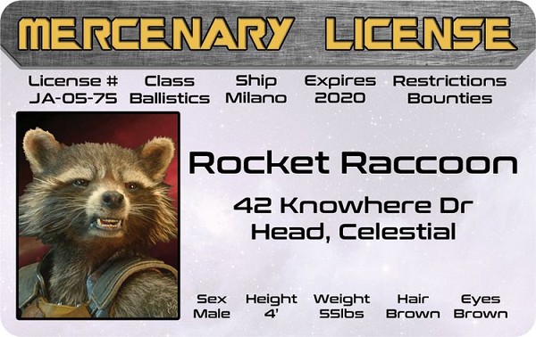 signs 4 fun Rocket ID