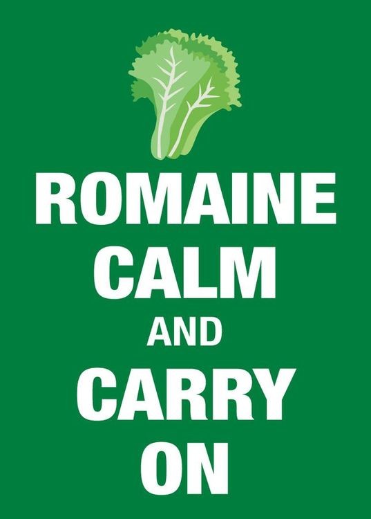 signs 4 fun Romaine Calm Magnet