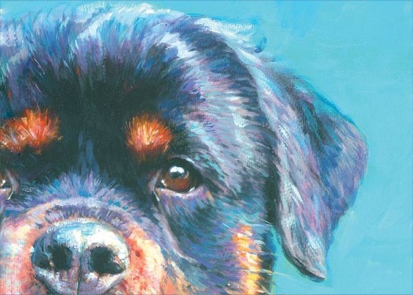 signs 4 fun Rottweiler Face Magnet