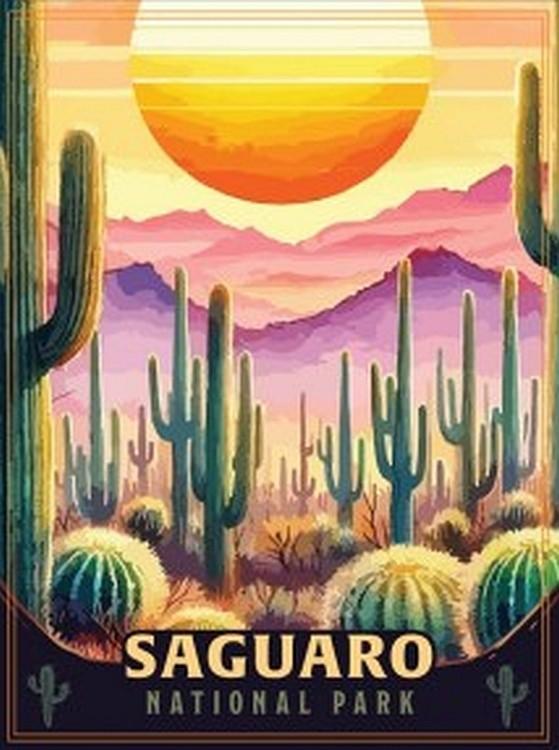 signs 4 fun Saguaro Paint N Park Small Sign