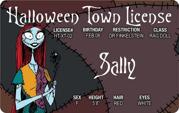 signs 4 fun Sally ID