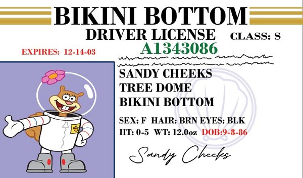 signs 4 fun Sandy ID
