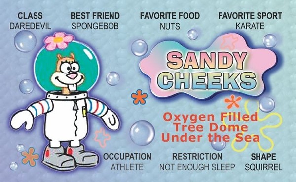 signs 4 fun Sandy Toon ID