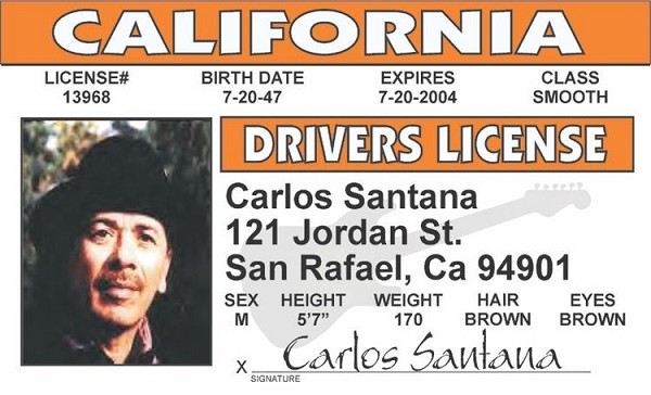 signs 4 fun Santana ID